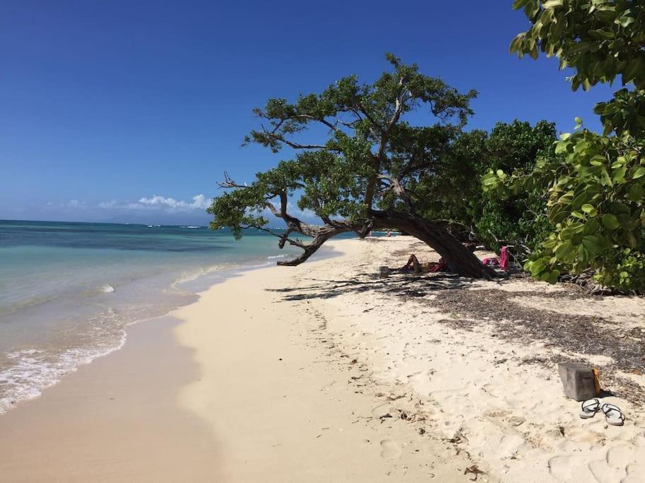 Villa Petite Terre A 50 Metres De La Plage Saint-Francois  Luaran gambar